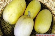 怎么可以吃兔兔 