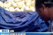 嘎嘎影视大全免费观看 